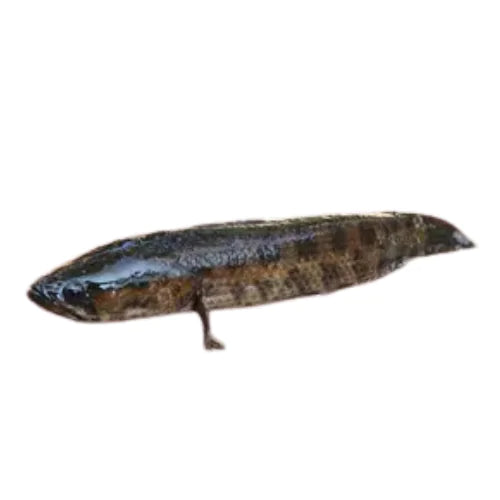 Local Goroi Mas