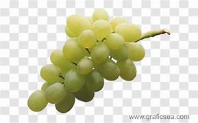 Grape ( angur)