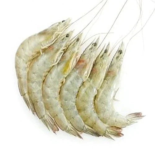 Local Misa mas Fish