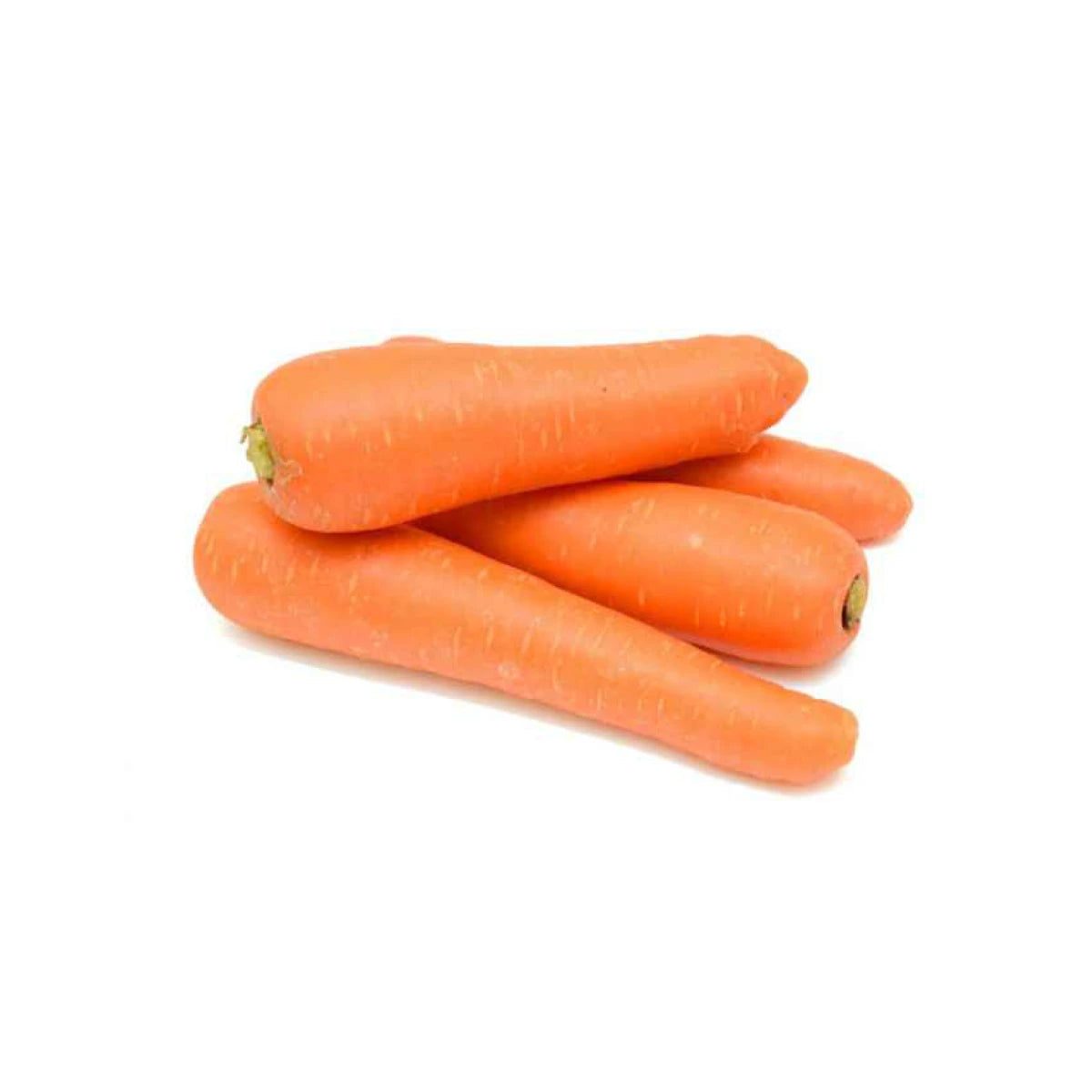 Carrot