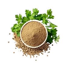 Everyday Dhania Powder