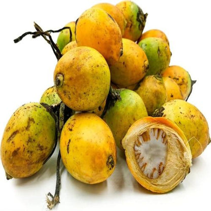 তামোল (Betel nut) tamul