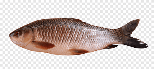 Bahu fish